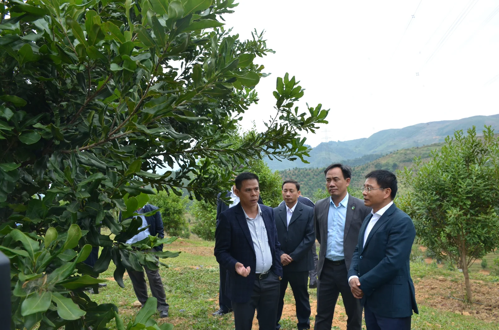 A field visit in the macadamia growing area · Mandavie-supplied photograph